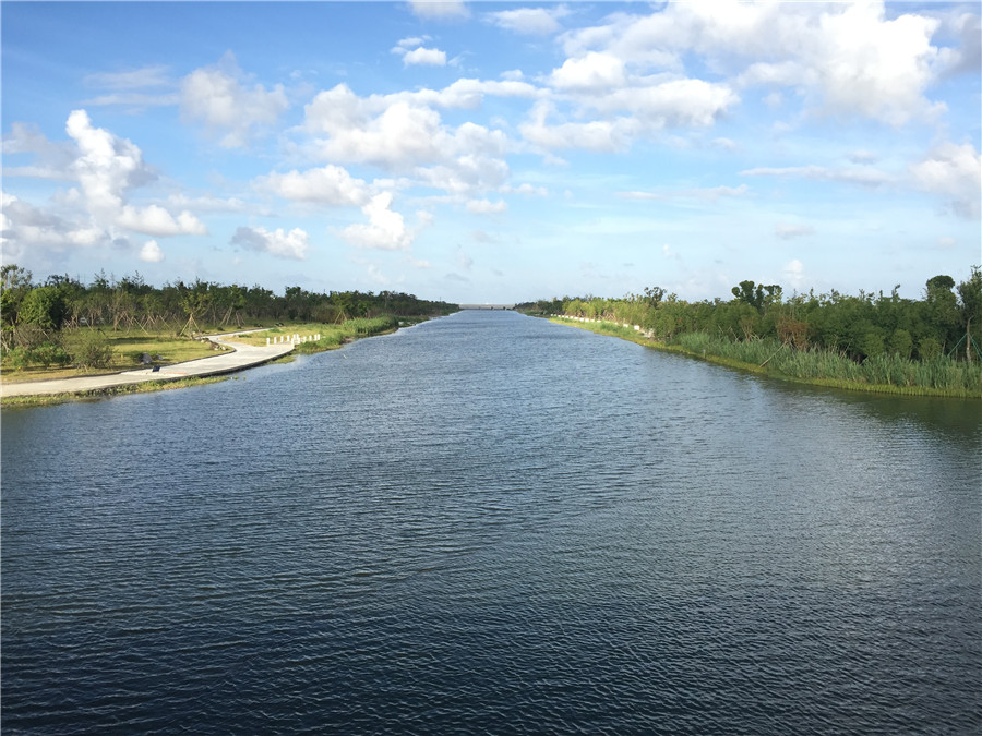 長(zhǎng)浦河改造及沿岸綠化景觀
